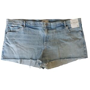 Abercrombie & Fitch. Mid Rise. Plus Size. 37/24. Size 24. The Mom Short.